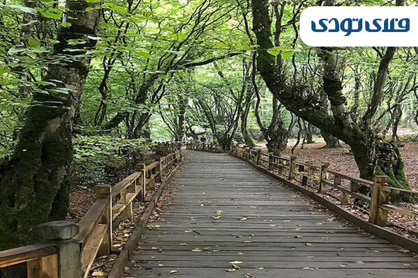 با خرید بلیط چارتر خنک شوید! با خرید بلیط چارتر خنک شوید!
