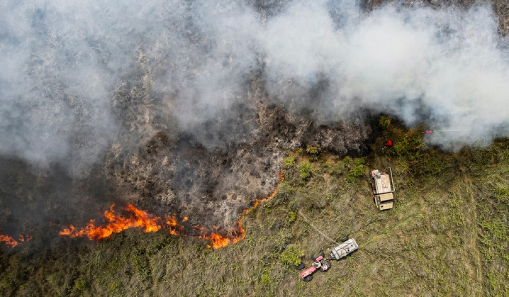 تصاویر| آتش‌سوزی سریالی در میانکاله