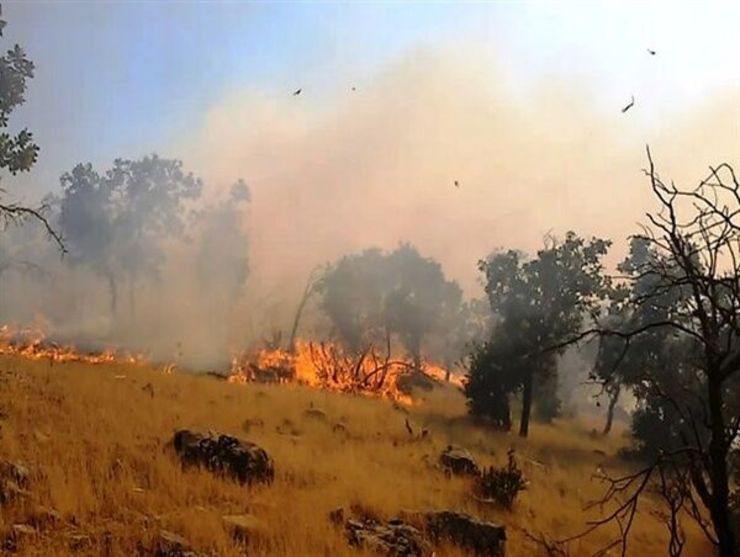 آتش سوزی در مناطق منابع طبیعی کلیبر اطفا شد