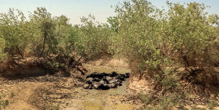 گرمای شدید در راه خوزستان