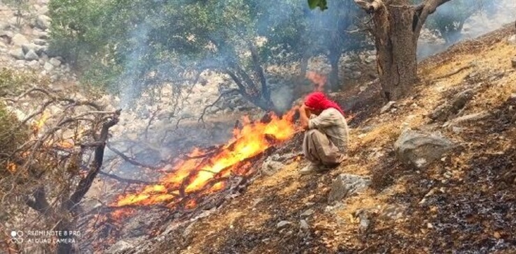 عکس| آتش‌سوزی جنگل‌های «کوه شره» کهگیلویه