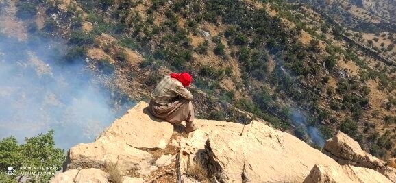 عکس| آتش&zwnj;سوزی جنگل&zwnj;های &laquo;کوه شره&raquo; کهگیلویه