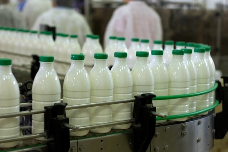 هشدار استاندارد درباره شیر پگاه فاسد در بازار