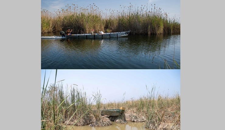 تصاویر| مقایسه هورالعظیم خوزستان در سال ۹۸ و ۱۴۰۰