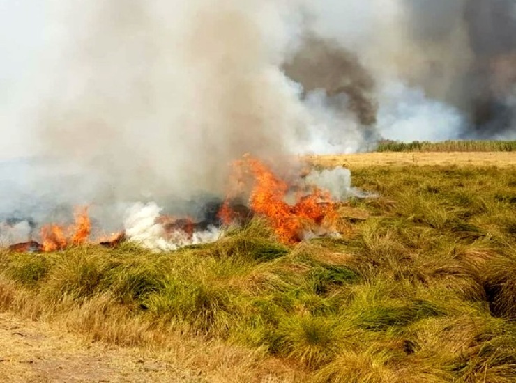 تالاب هشیلان در آتش سوخت