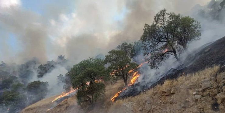 آتش‌سوزی در روستای «بانخشک»
