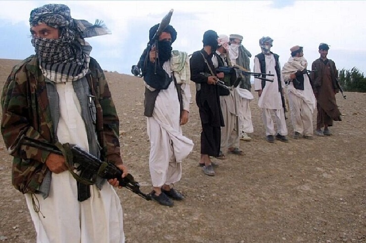 ۱۷۱ جنگجوی طالبان کشته شدند