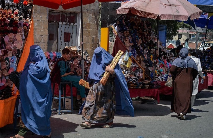 فیلم|  دیدگاه عجیب عضو طالبان درباره حجاب زنان؛ خربزه‌ای که چاک شده را می‌خرید؟