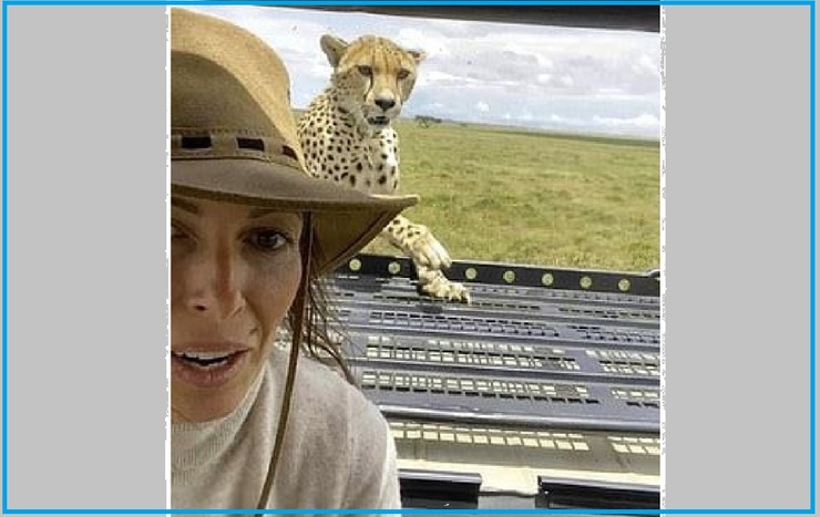 تصاویر| سلفی خطرناک زن جهانگرد با یوزپلنگ