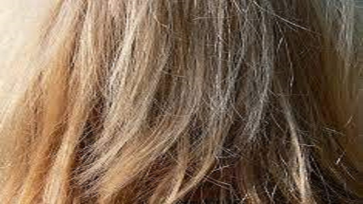 مراقبت از مو‌های آسیب دیده با ۶ روش خانگی