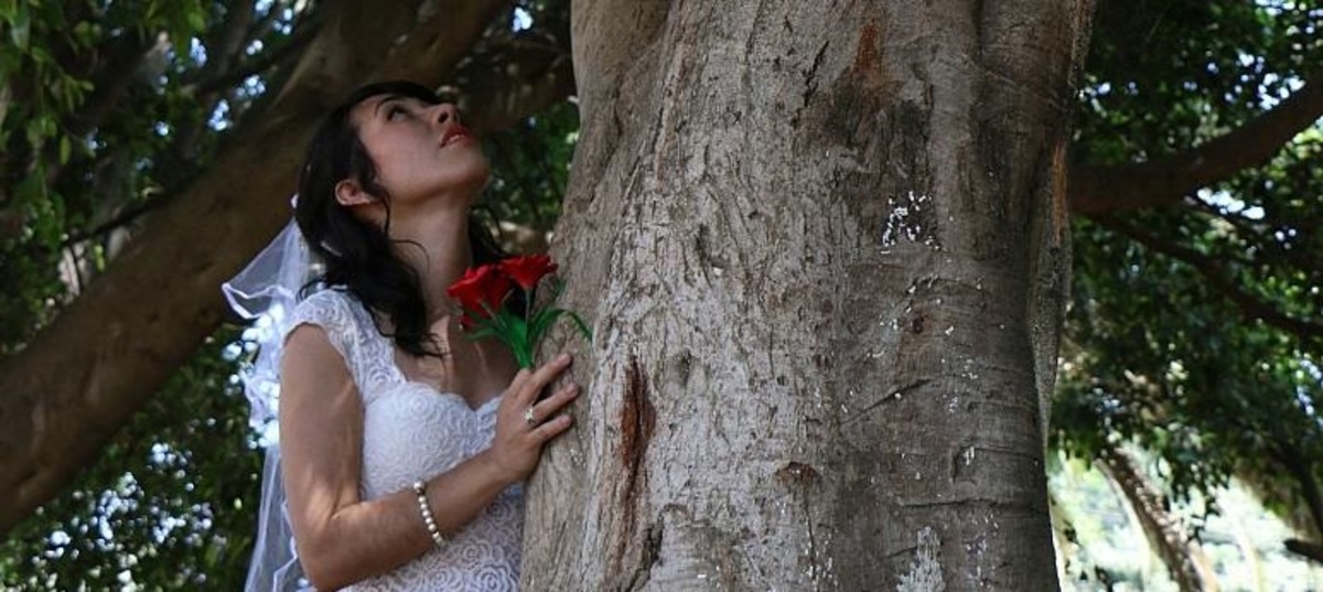 بیش از ۷۰ زن با درختان ازدواج کردند