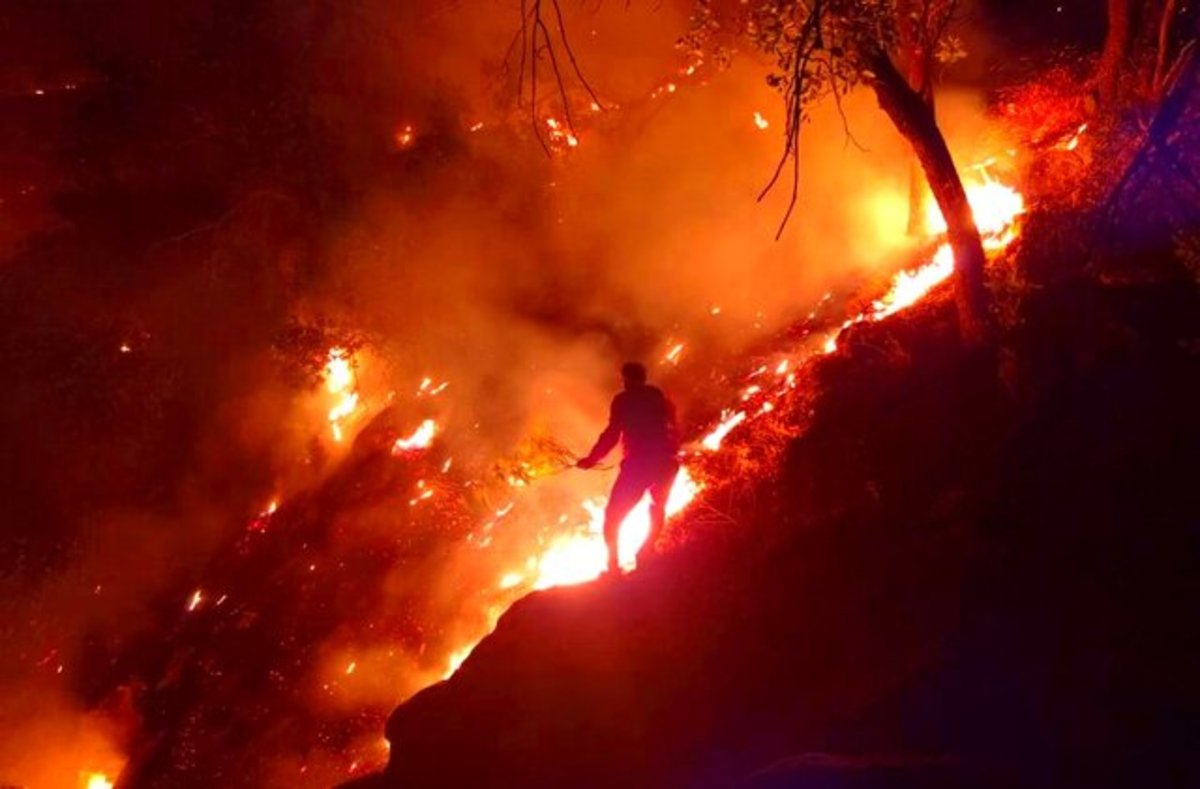 آتش‌سوزی جنگل‌های کوه 