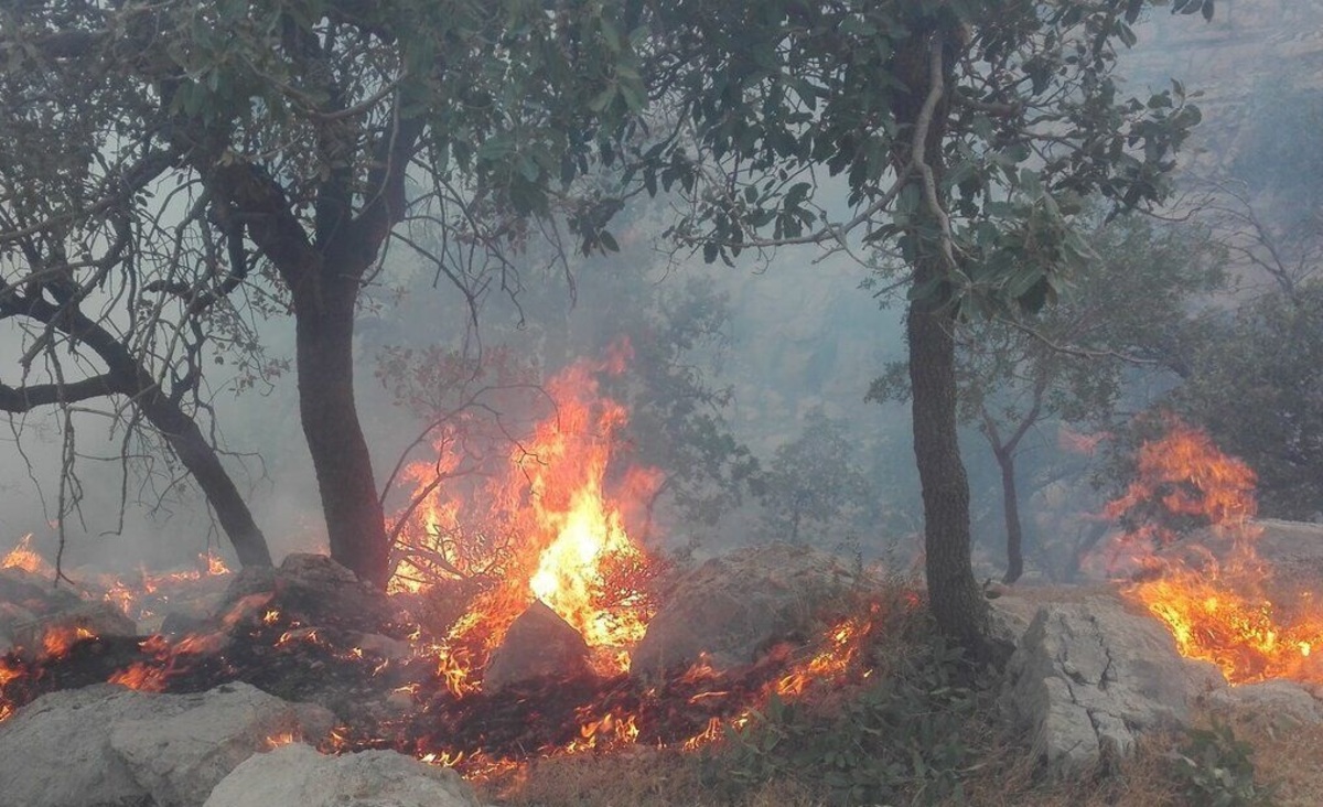 آتش در جنگل‌های کوه نیر کهگیلویه و بویراحمد دوباره زبانه کشید