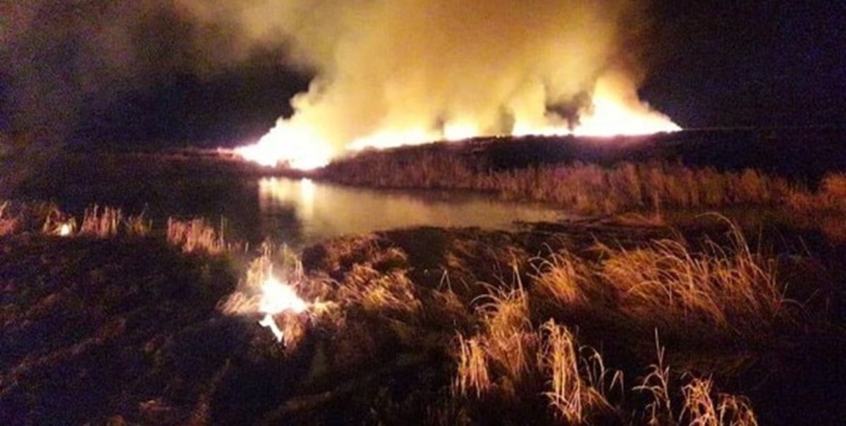آتش در ۷ هکتار از پارک ملی بوجاق