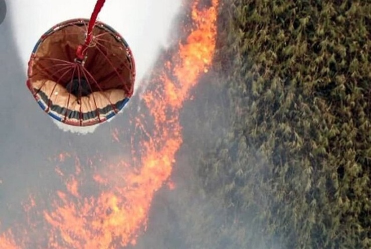 اعزام بالگرد به مناطق دچار آتش‌سوزی در تالاب انزلی