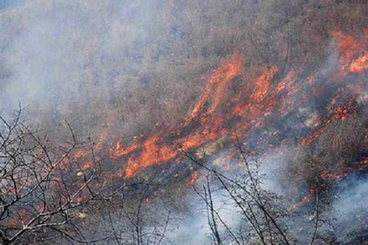 فیلم| آتش‌سوزی در ارتفاعات جنگلی رادکان کردکوی