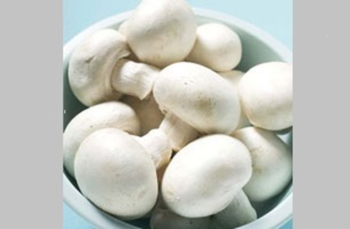ترفند ساده برای افزایش ذخیره ویتامین D قارچ های خوراکی