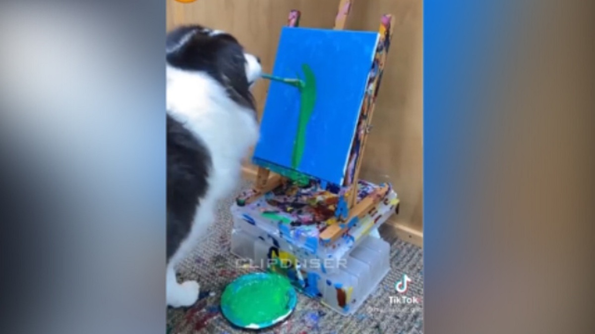 فیلم| سگ با استعدادی که به طرز عجیبی نقاشی می‌کشد!