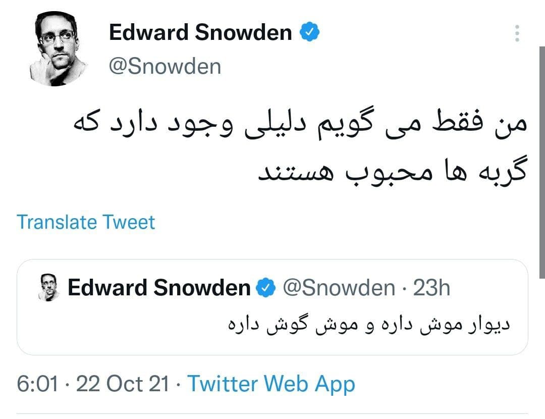 توییت فارسی جدید اسنودن: دلیلی وجود دارد که گربهها محبوب هستند توییت فارسی جدید اسنودن: دلیلی وجود دارد که گربهها محبوب هستند