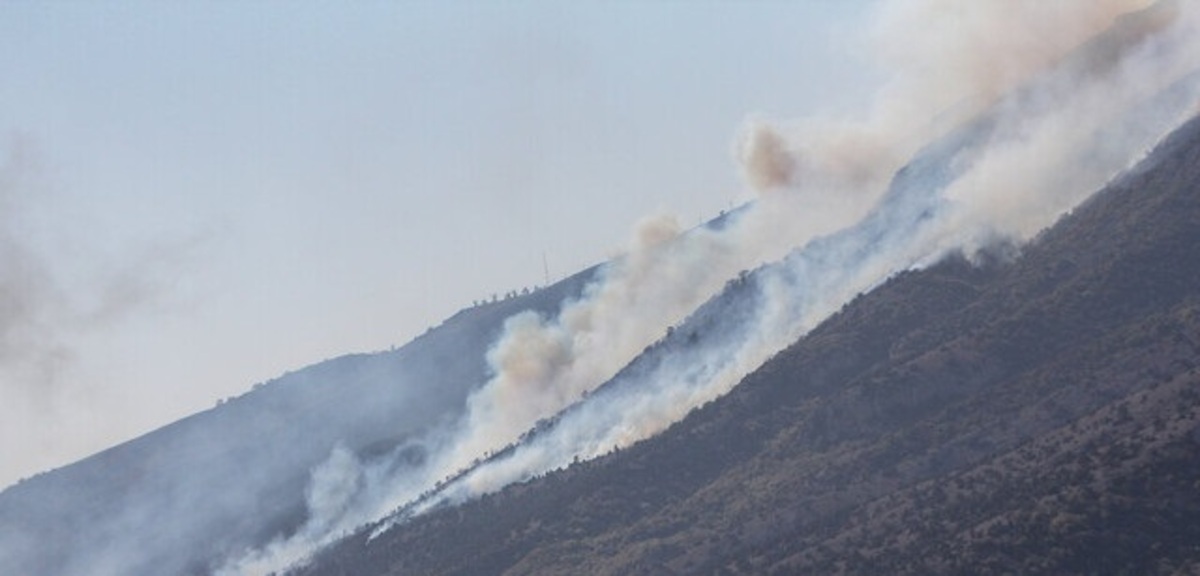 آتش‌سوزی در جنگل‌های کوه سفید لنده