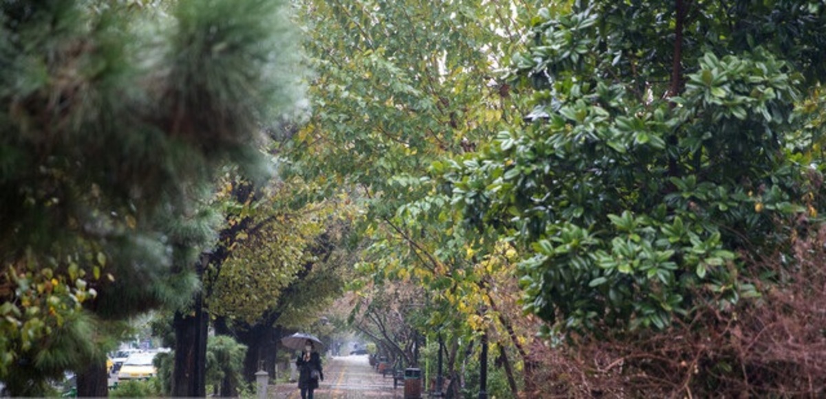 رگبار و رعدوبرق در برخی نقاط کشور