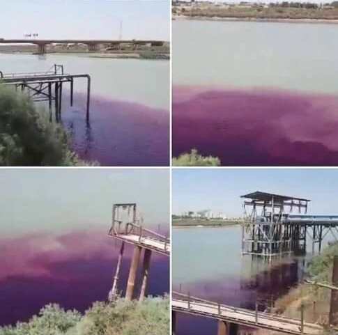 چرا رودخانه کارون ارغوانی شد؟ چرا رودخانه کارون ارغوانی شد؟
