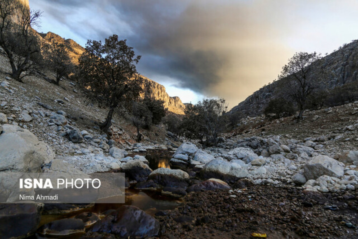 تصاویر| زندگی با بوی نفت در تصاویر| زندگی با بوی نفت در