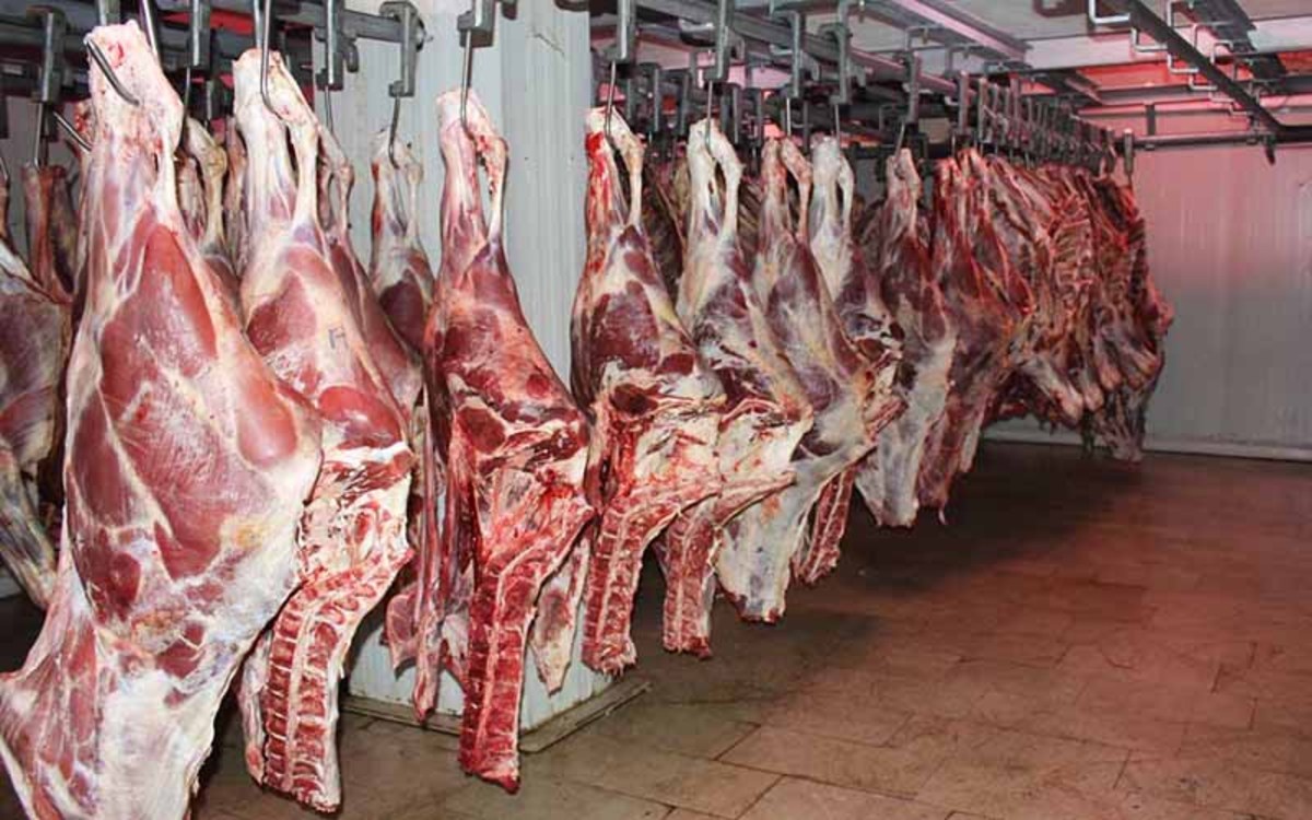 هشدار افزایش قیمت گوشت مرغ به ۱۰۰ و گوشت قرمز به ۳۰۰ هزار تومان