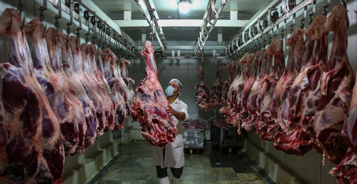 تصاویر| تولید فرآورده‌های گوشتی