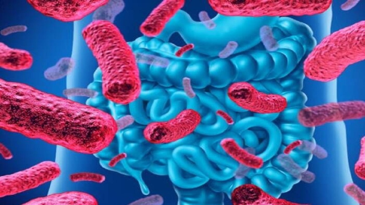 کشف میکروبیوتای روده راهی برای درمان بیماری‌های گوارشی