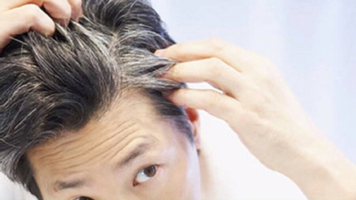 چند راهکار ساده برای دیرتر سفید شدن مو‌های سر