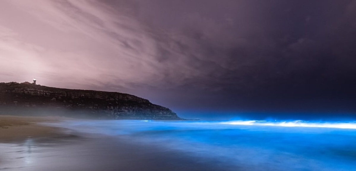 تصاویر| ساحلی درخشان به رنگ آبی جادویی
