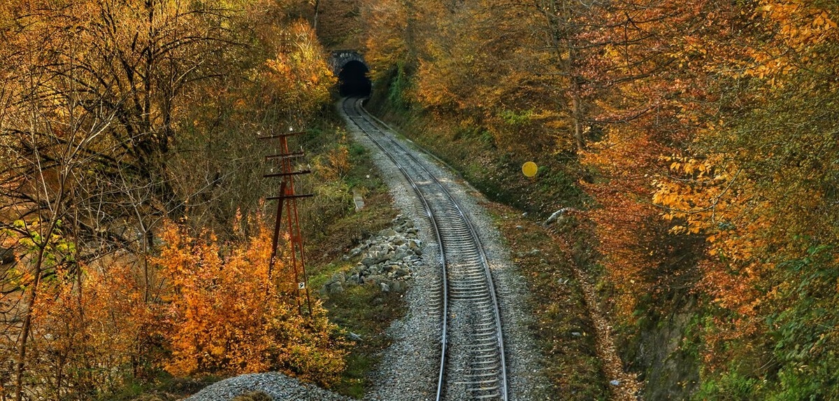 تصاویر| طبیعت پاییزی راه آهن شمال در شیرگاه