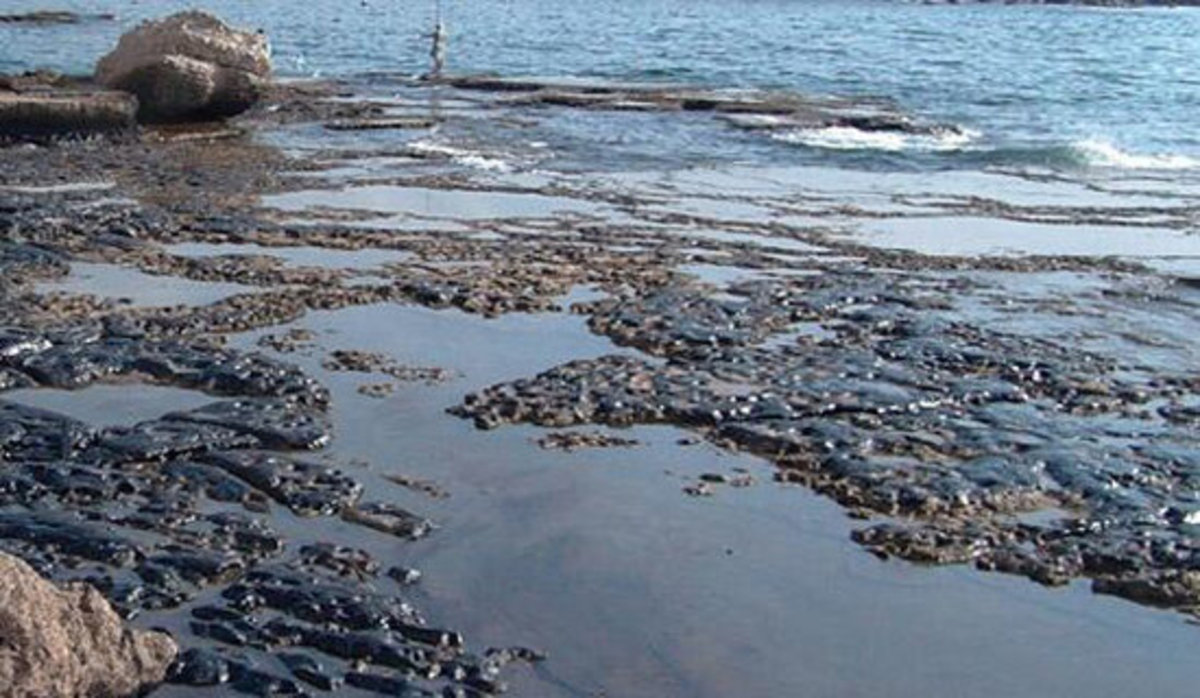 وقوع آلودگی نفتی در منطقه حفاظت‌شده 