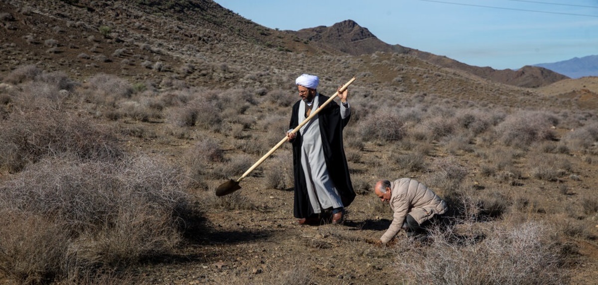تصاویر| پویش ملی کاشت بذر در منطقه چنارقاضی قم