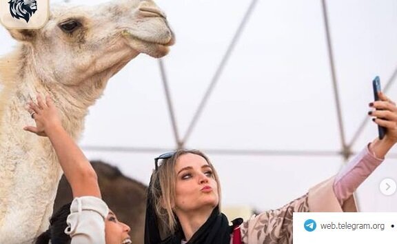 عربستان ترزیق ژل به لب شتر را ممنوع کرد عربستان ترزیق ژل به لب شتر را ممنوع کرد
