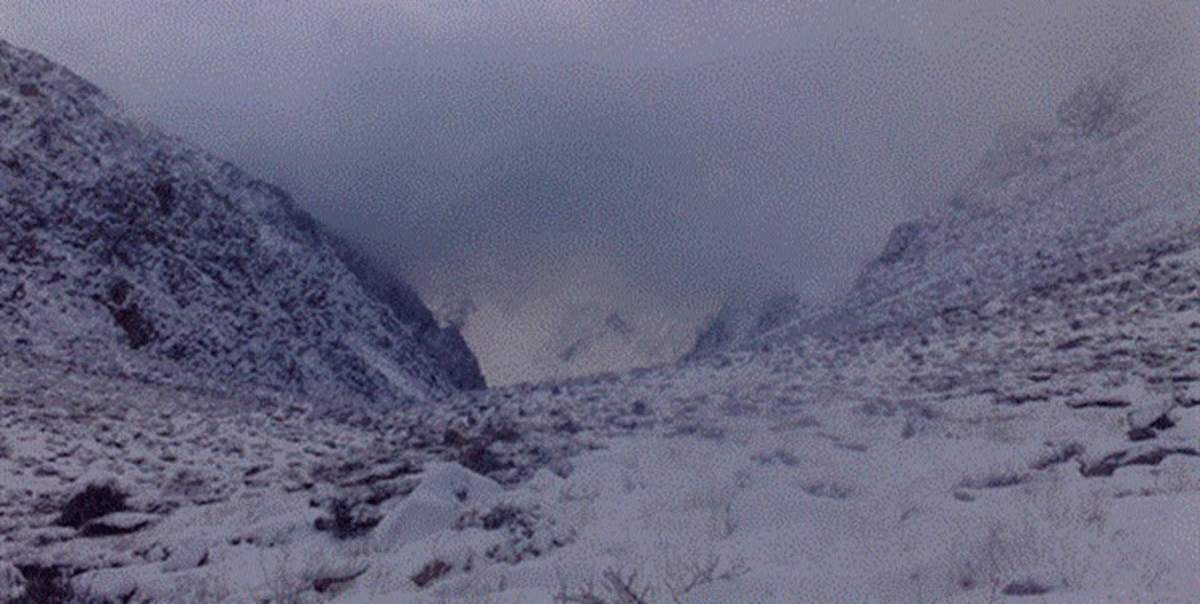 پیدا شدن ۴ فرد برف‌گیر در کوه سیاه جلاله شهرستان دنا