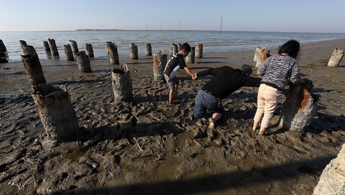 تصاویر| خلیج گرگان رو به مرداب شدن
