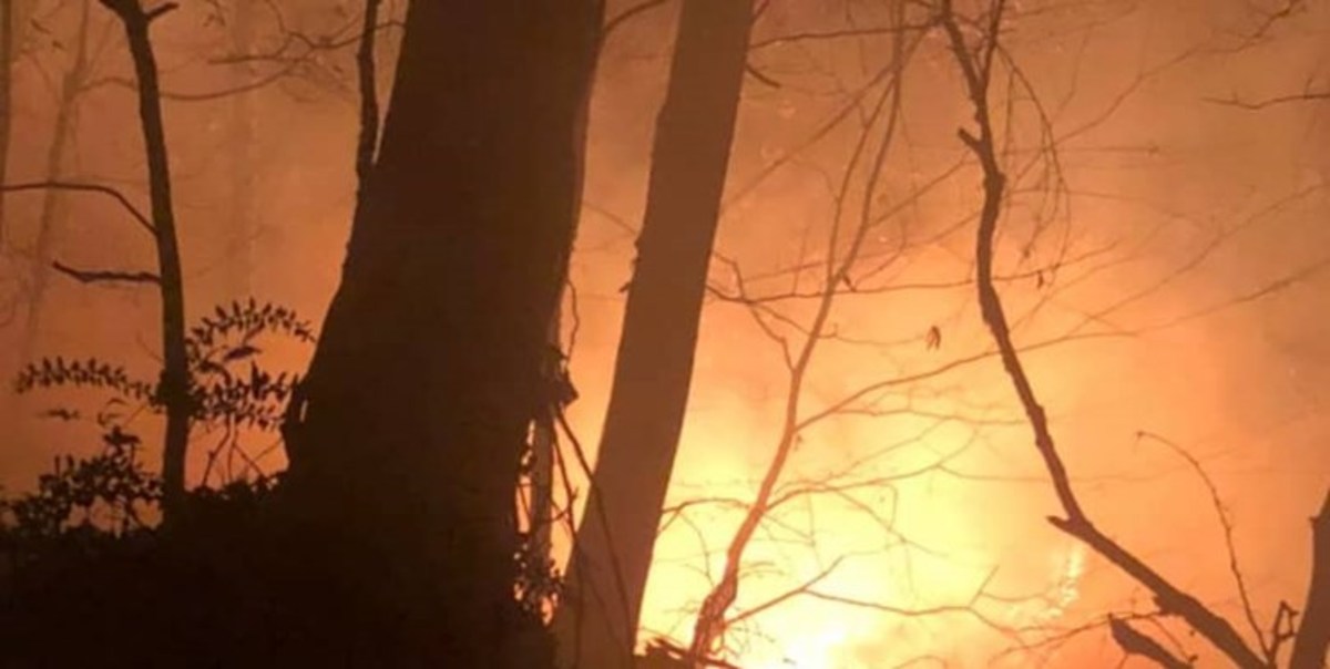 مهار کامل آتش در جنگل‌های سیاهکل و رودبار