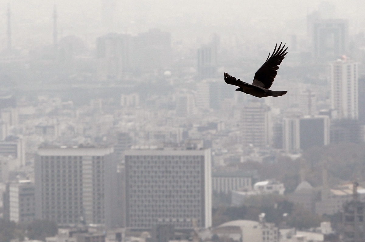 تصمیمات کارگروه آلودگی هوا در صورت تشدید آلایندگی