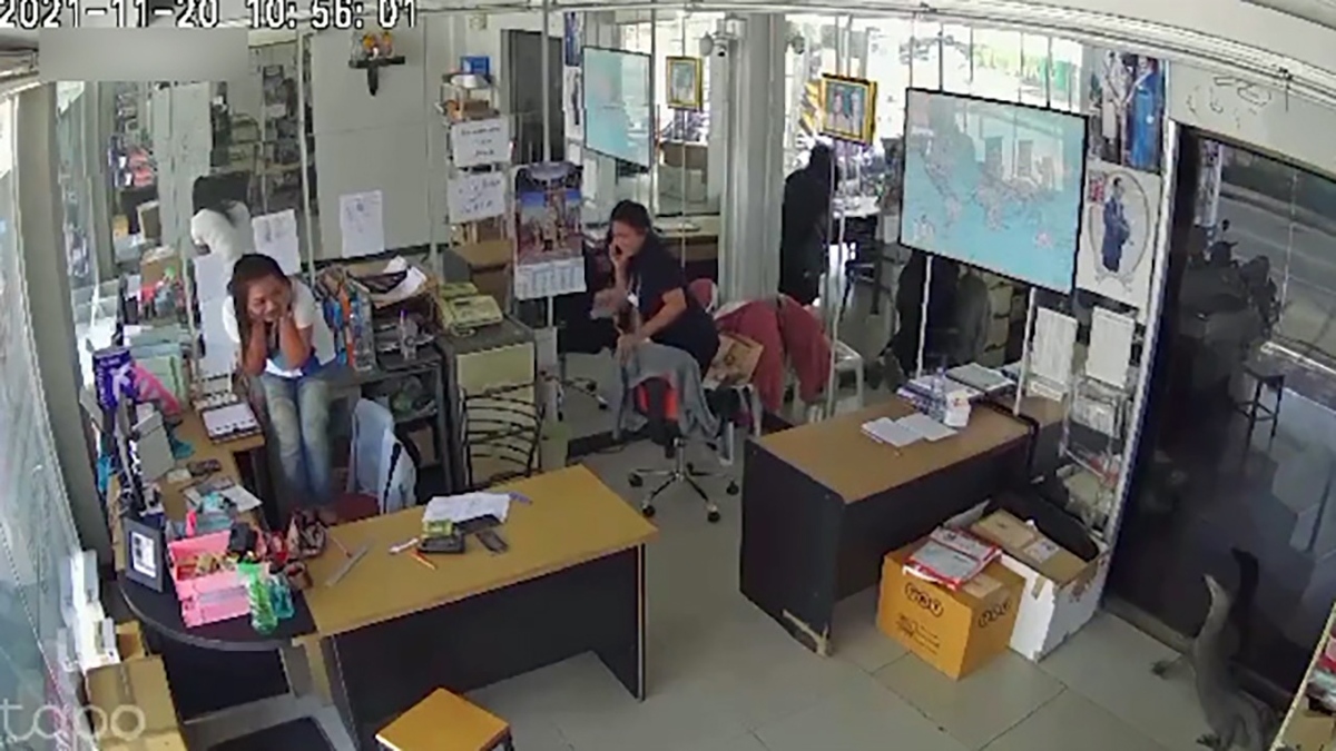 فیلم| حشت کارمندان زن پس از دیدن یک بزمجه در اداره
