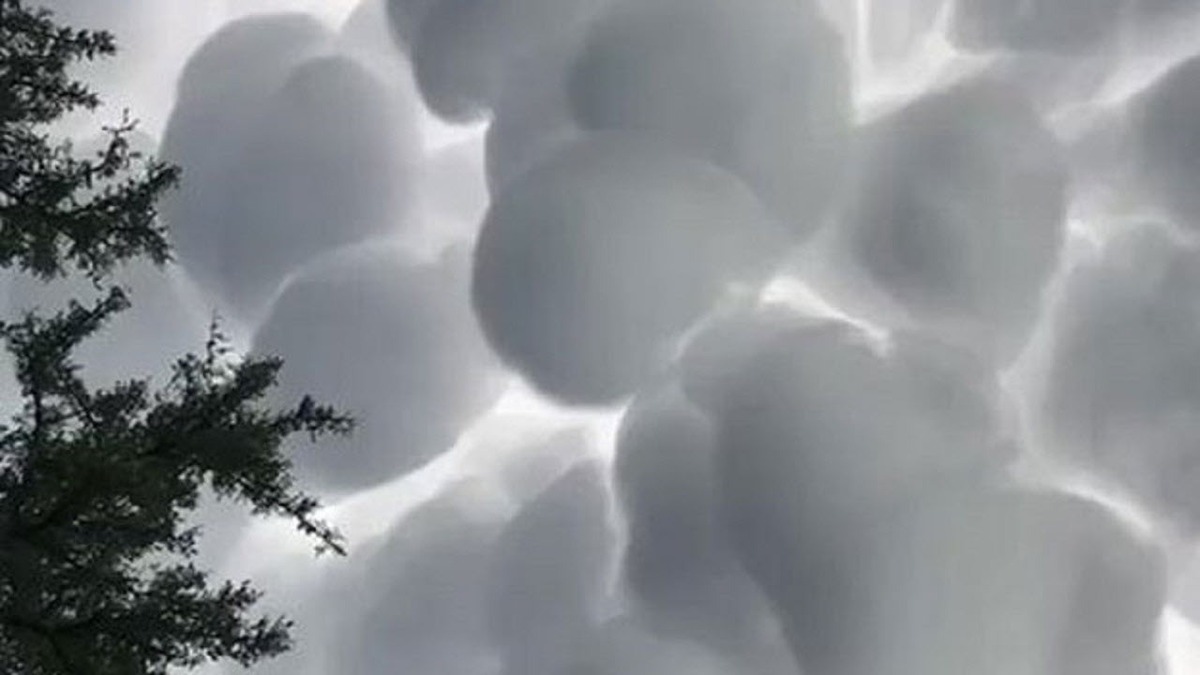 فیلم| حیرت ساکنان محلی از اَشکال ابر‌ها در آسمان