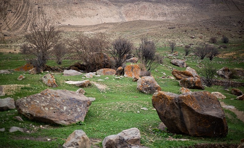 تصاویر| طبیعت دشت آزو