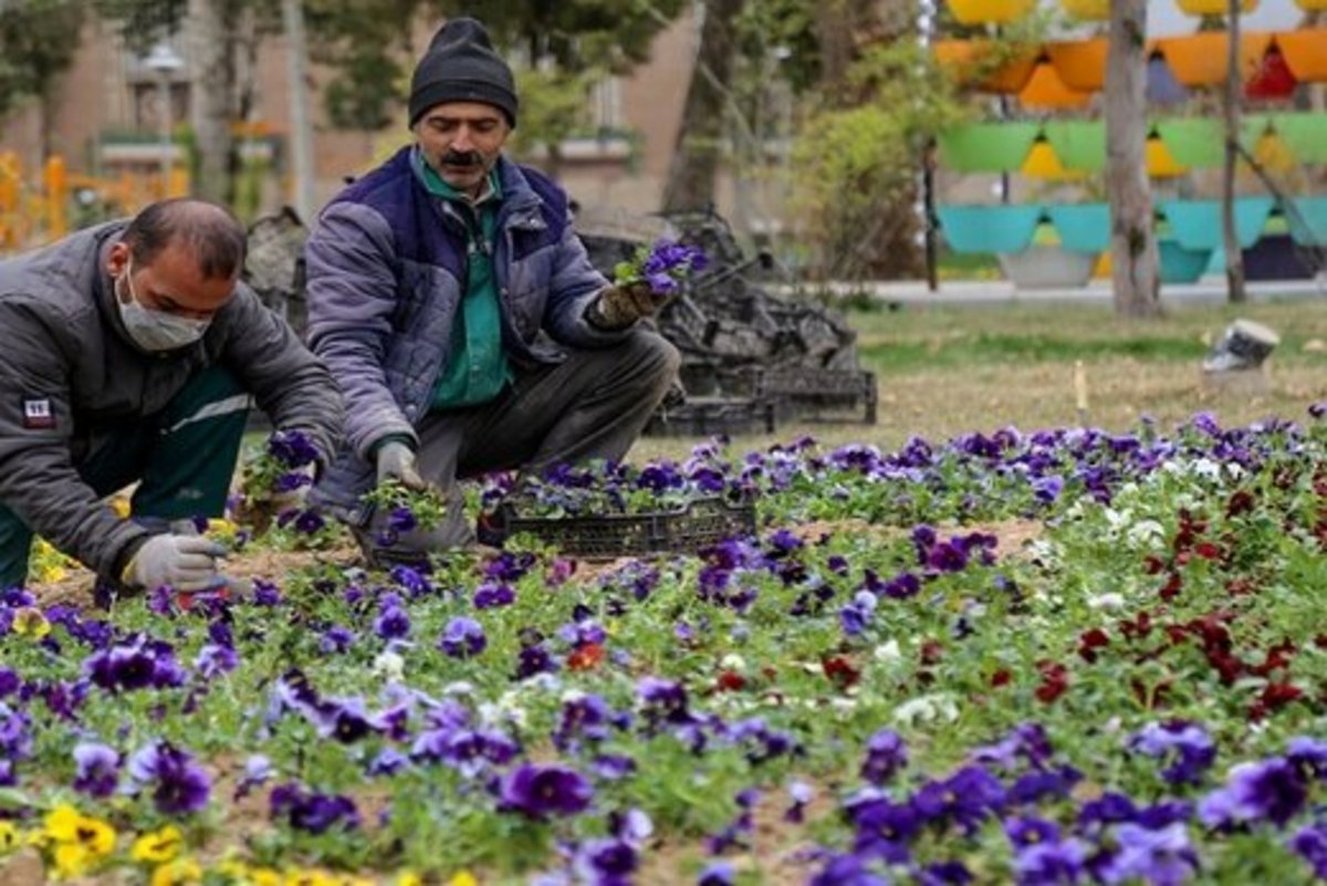 خواص گل‌ها برای سلامت روح و روان را بشناسید