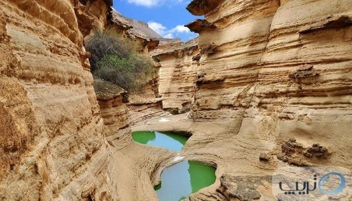 تنگه چاهکوه کجاست؟ راهنمای بازدید از شگفت انگیزترین پدیده طبیعی در قشم
