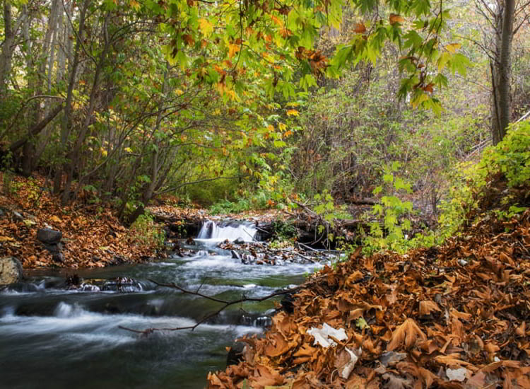 تفریح و زیارت در کنار یکدیگر، راهنمای کامل سفر به مشهد تفریح و زیارت در کنار یکدیگر، راهنمای کامل سفر به مشهد