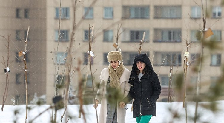 تصاویر| اولین برف زمستانی در تهران