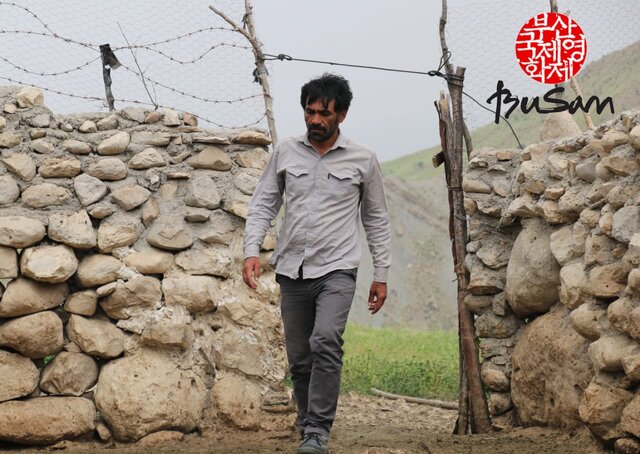 سینمای ایران در جشنواره‌های مهم امسال چه کرد؟