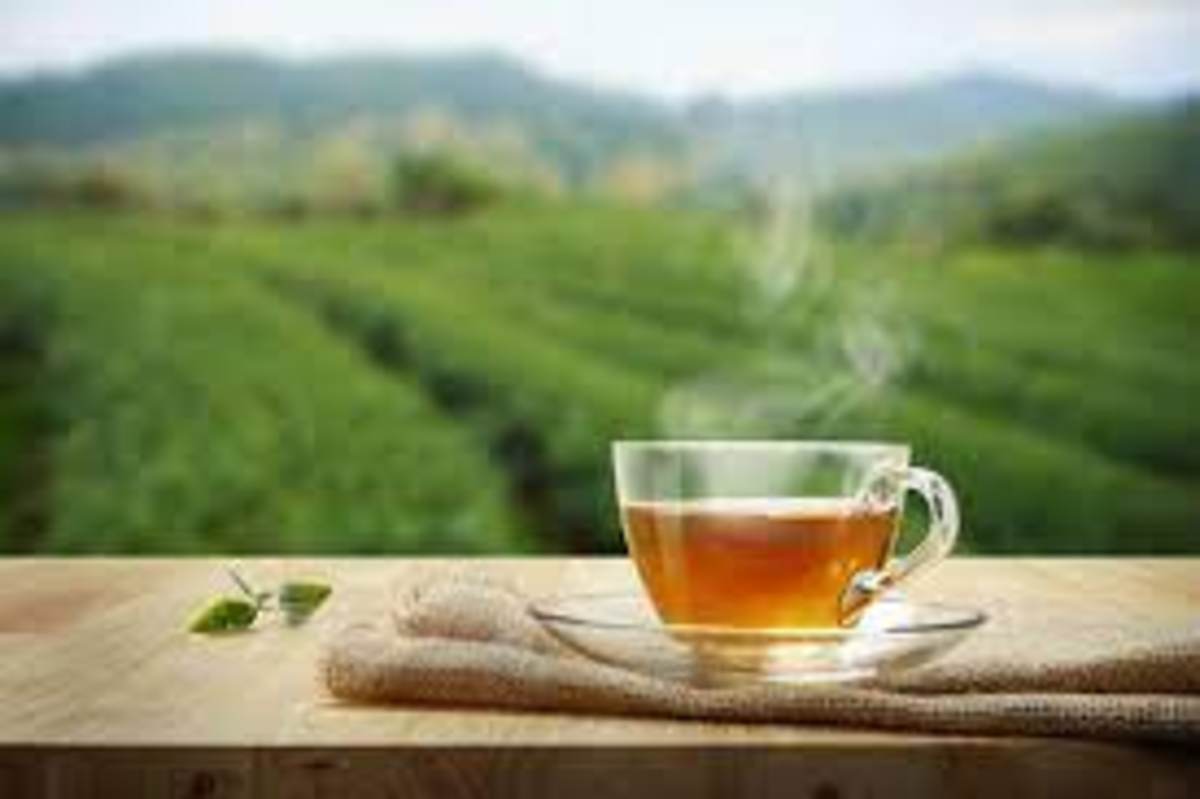 عوارض و مضرات نوشیدن چای کهنه دم چیست؟