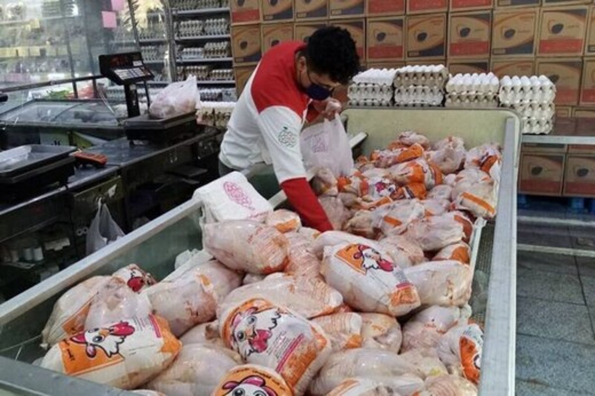 وزارت جهاد: مرغ بخرید و ذخیره کنید!